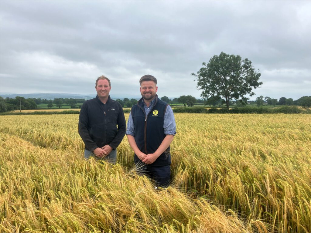 County Down farmer wins UFU winter barley competition
