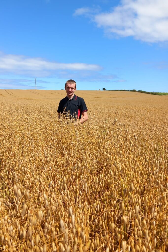 County Tyrone farmer wins UFU oats competition