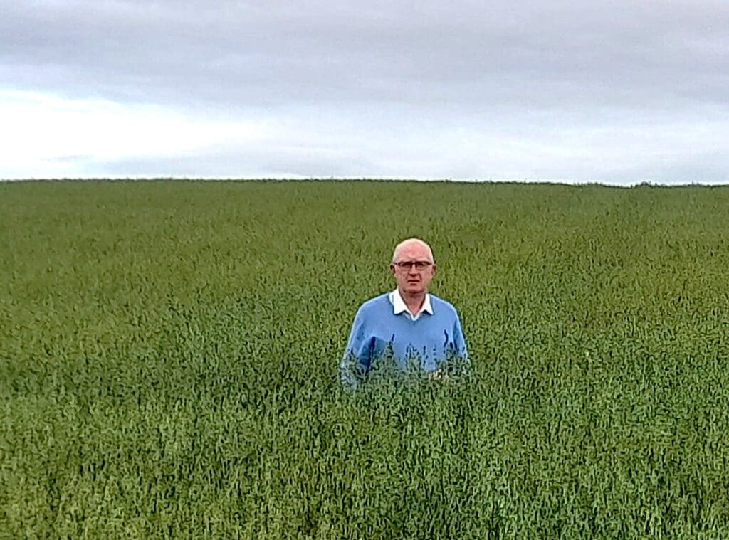 County Tyrone farmer wins UFU oats competition