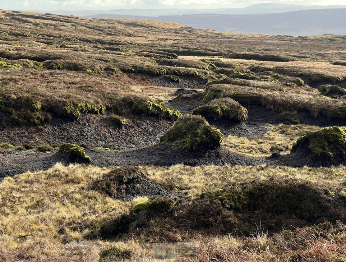 2. Eroded area of bare peat on Slievenanee where the wool logs will be used.